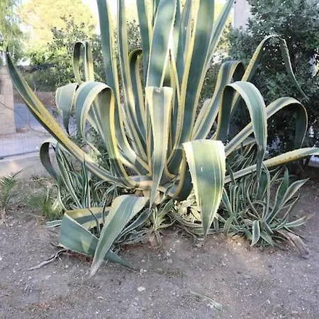 Casetta Nel Verde Trapani