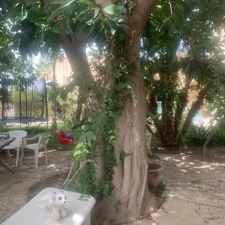 Casetta Nel Verde Holiday home Trapani